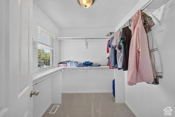 Carpeted closet with a window, shelving, and built-in hanging rods