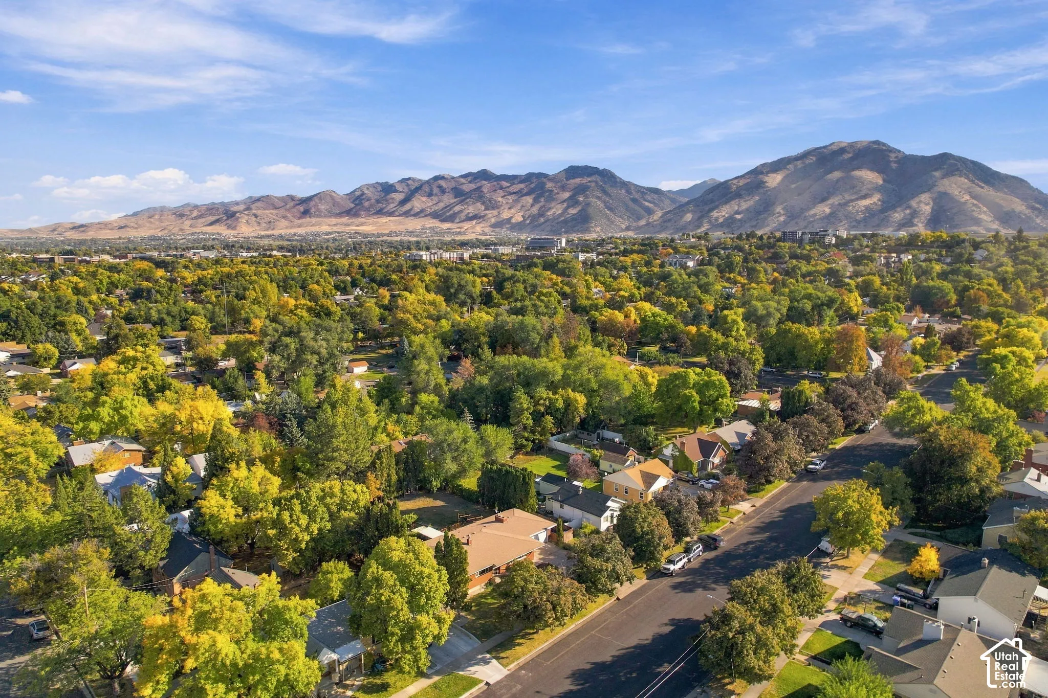 Lush tree-lined neighborhood with mature landscaping and mountain backdrop