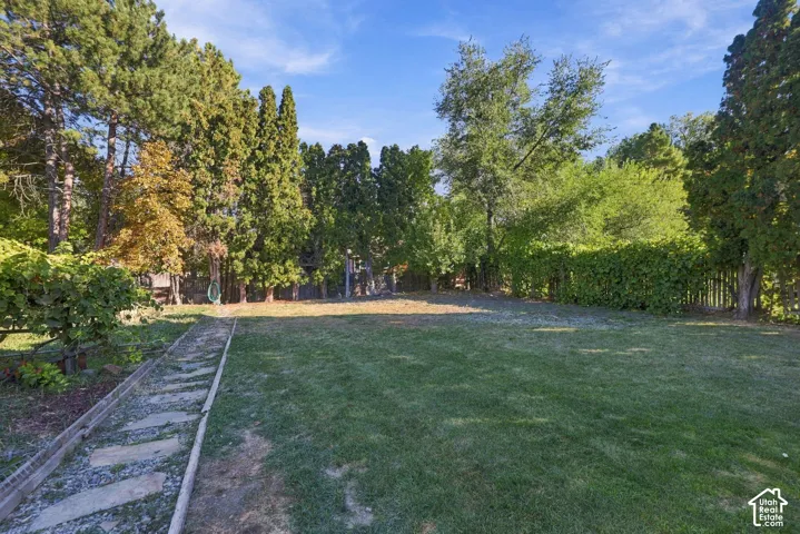 Expansive green lawn surrounded by mature trees, a stepping stone pathway, and privacy fencing