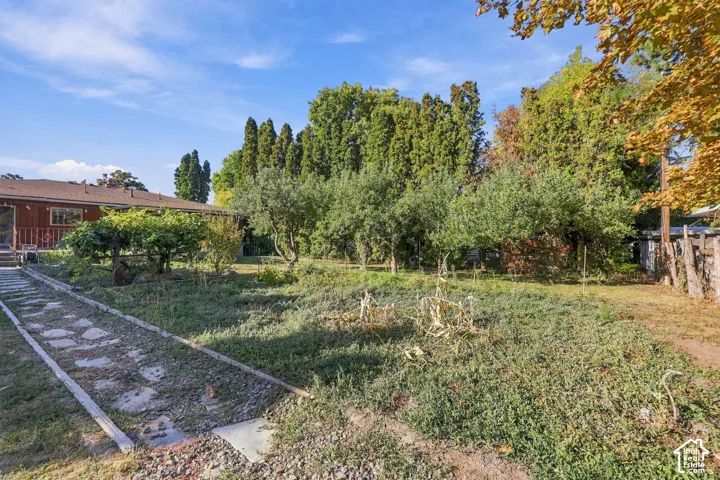 Expansive backyard with a stone path, mature trees, and a partial wood fence