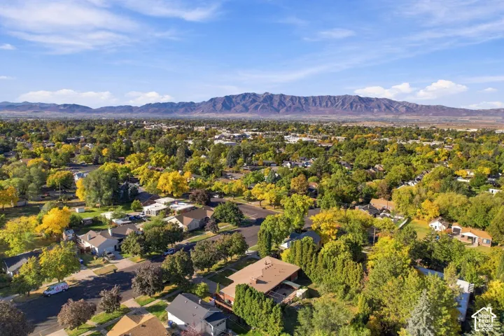 Expansive neighborhood setting with established tree canopy and mountain backdrop