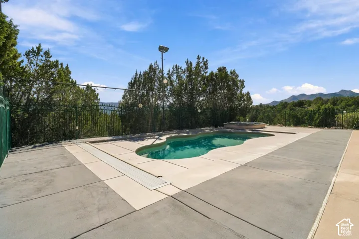 Freeform swimming pool with expansive concrete decking