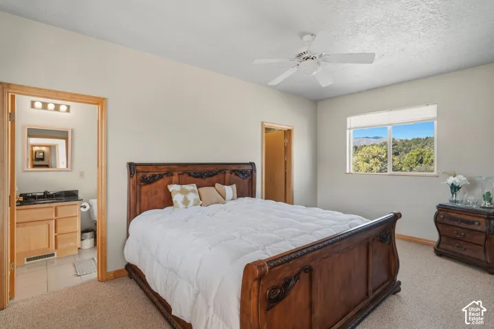 Spacious primary bedroom showcasing a wood-frame bed, neutral carpeting, and abundant natural light from a large window with scenic landscape views