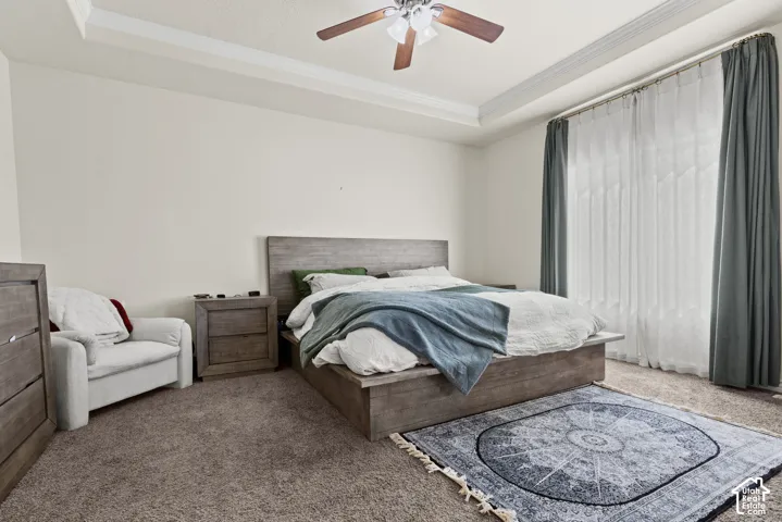 Tray ceiling with crown molding, ceiling fan, and carpeted flooring