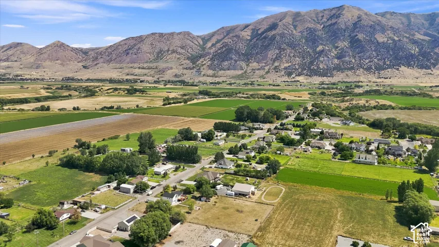 Expansive agricultural land with a mountainous backdrop