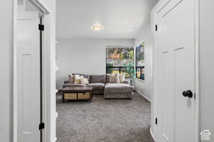 Recessed lighting, large windows, light gray walls, and carpet flooring