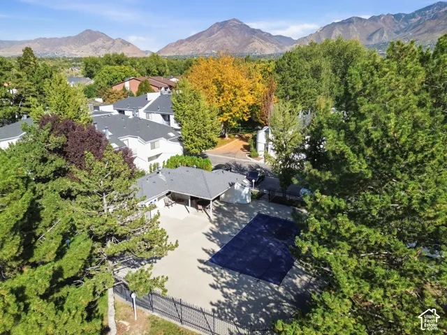 Aerial view showcasing a modern residence with clean architectural lines, surrounded by mature landscaping including tall evergreen trees and mixed plantings