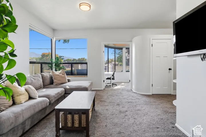 Recessed ceiling lighting, large windows, light gray carpeting, built-in shelving, and a modern interior door