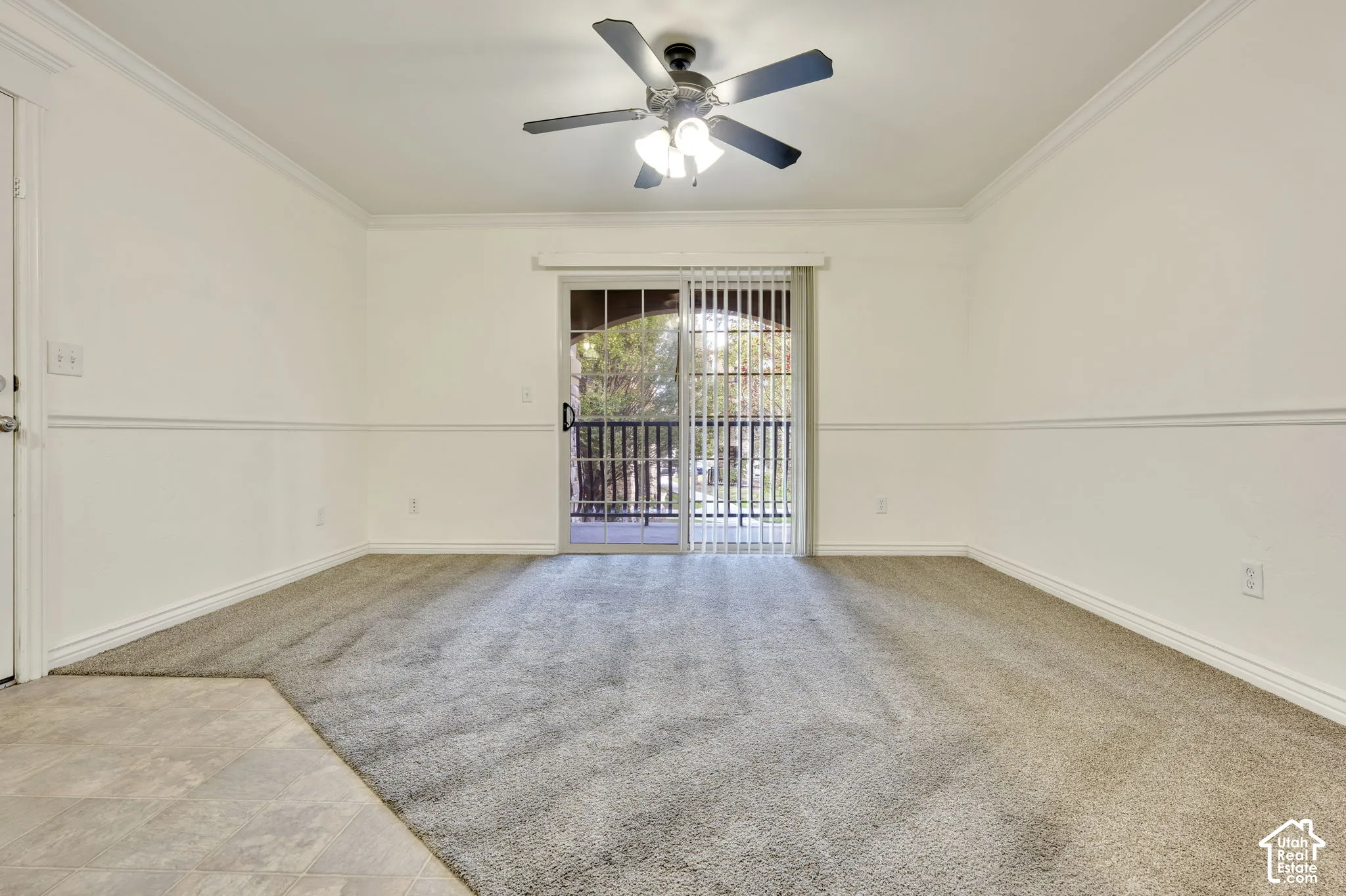Plush carpet flooring, crown molding, chair rail detailing, sliding glass door, and a ceiling fan with integrated lighting