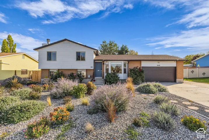 Xeriscape Heaven!