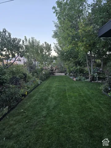 Expansive backyard featuring a manicured lawn with mature shade trees, established hedges and perimeter landscaping, and a covered structure visible at the property's rear