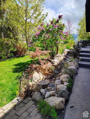 Manicured lawn with mature trees, established flowering shrubs, and a tiered rock garden
