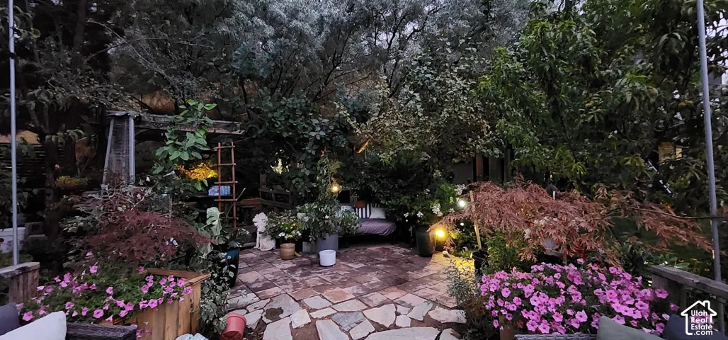 Expansive outdoor living area featuring a stone patio, mature trees, and planted foliage