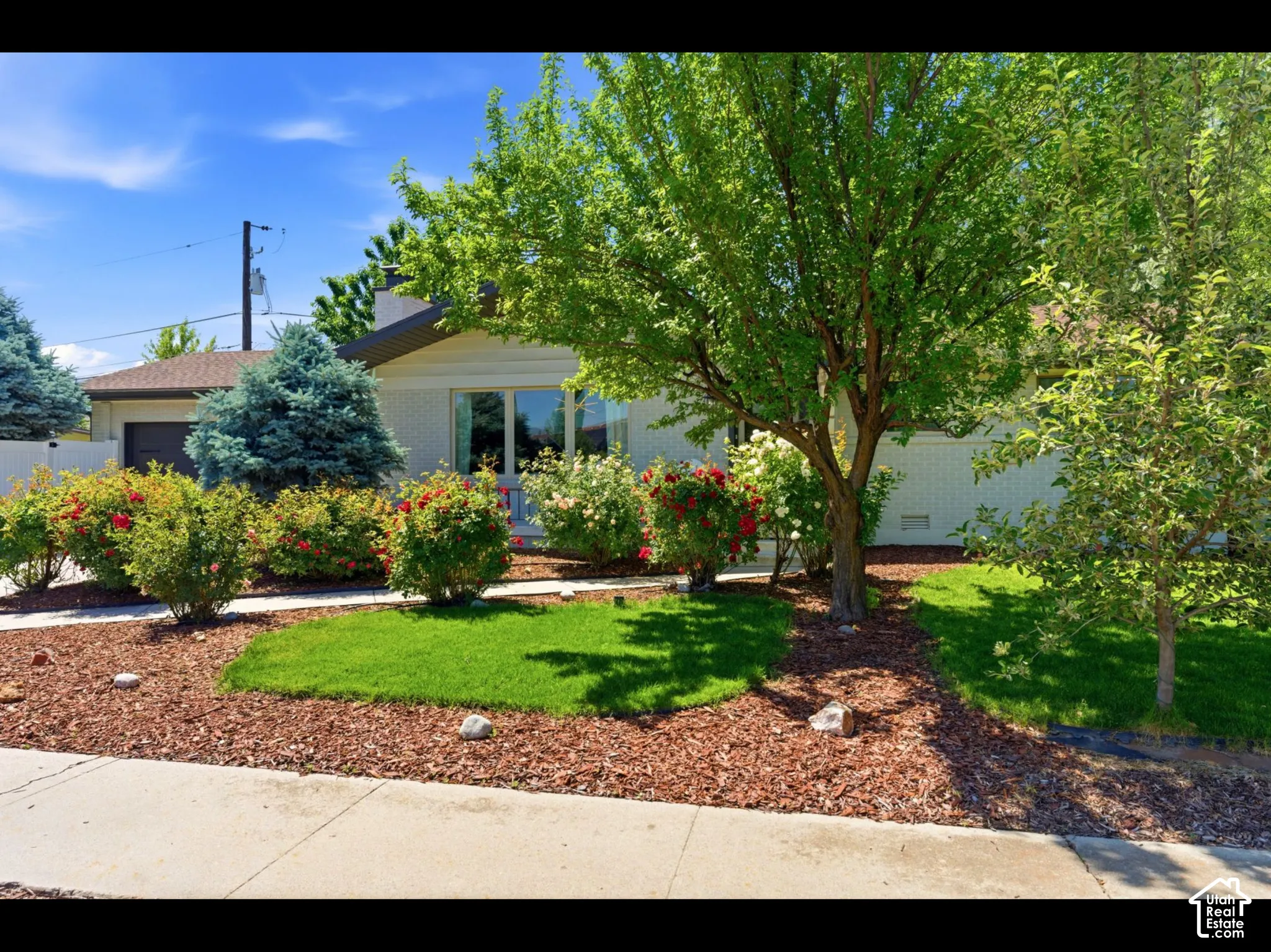 Front yard featuring mature trees, manicured shrubs, a concrete walkway, a grass lawn, and wood chip ground cover
