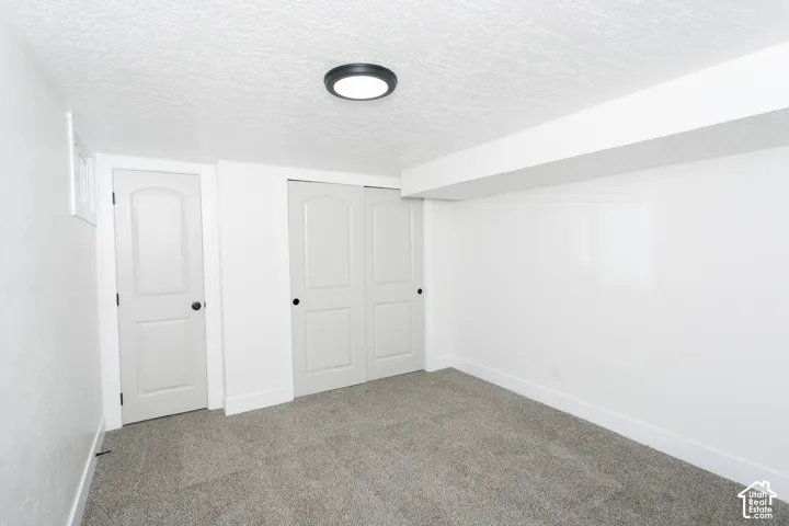 Neutral-toned carpet flooring, white walls, white trim, and a white ceiling with a flush-mount light fixture