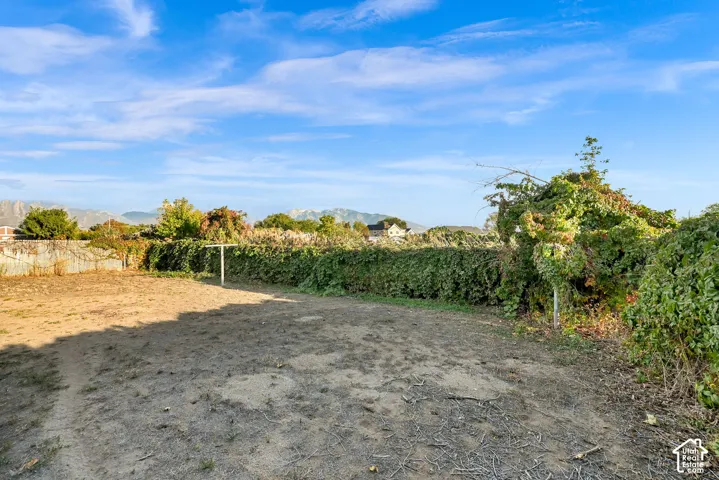 Expansive yard space featuring a perimeter of mature foliage and a distant mountain backdrop