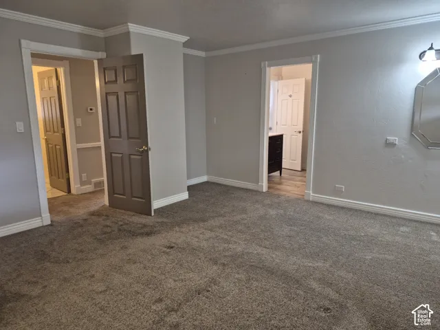Textured carpeting, light gray wall paint, white crown molding, white door trim, and a wall-mounted light fixture with mirror
