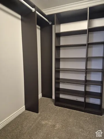 Built-in custom closet system with shelving and hanging rods