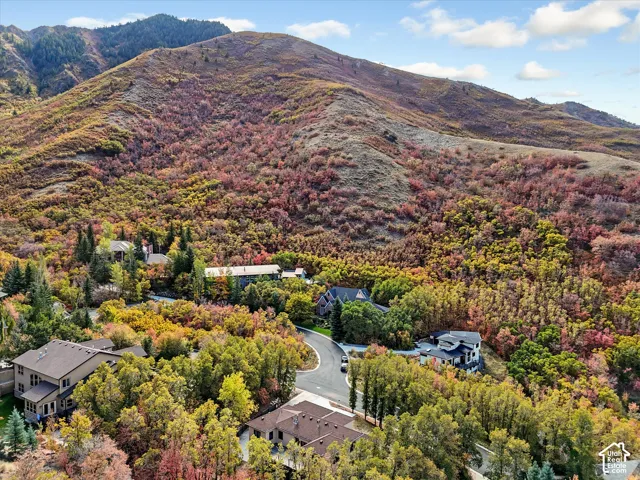 Aerial perspective featuring extensive hillside terrain, mature woodland landscape, and established residential lots