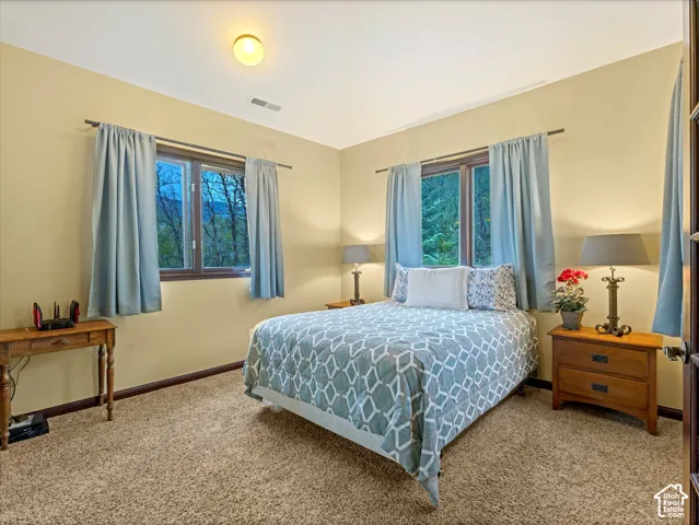 Wood-frame windows with forest scenery