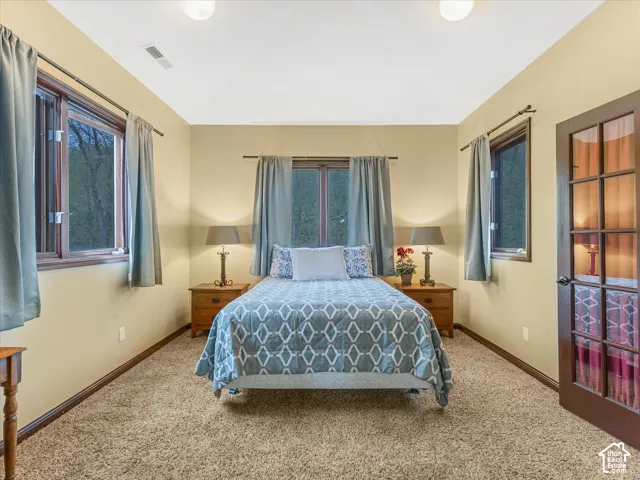 Carpeted room with multiple windows, a ceiling light fixture, and a glass-paneled door
