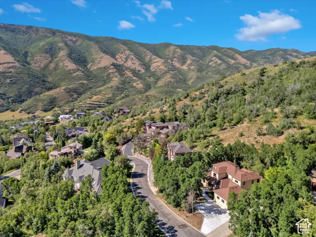 Mountainous terrain with lush, abundant trees and residential properties along winding roads
