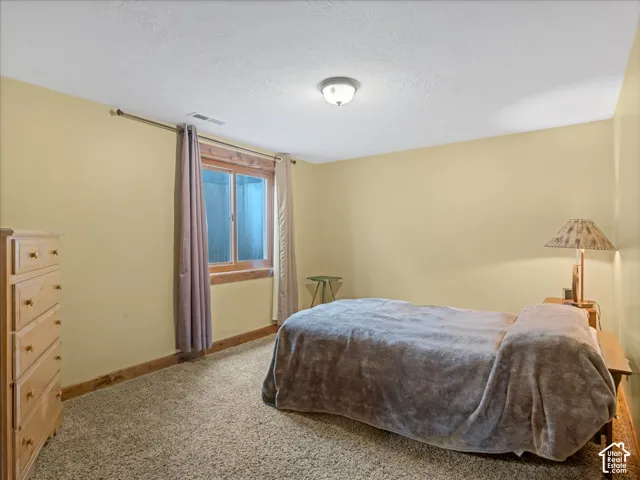 Carpeted flooring, wood-framed window, and a ceiling-mounted light fixture