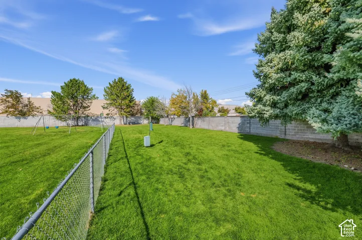 Fenced dog park