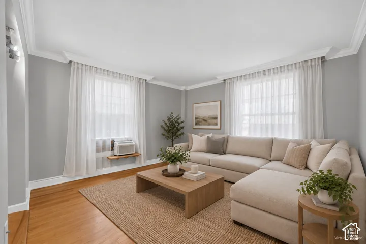 Hardwood flooring, light gray wall paint, crown molding, track lighting fixture