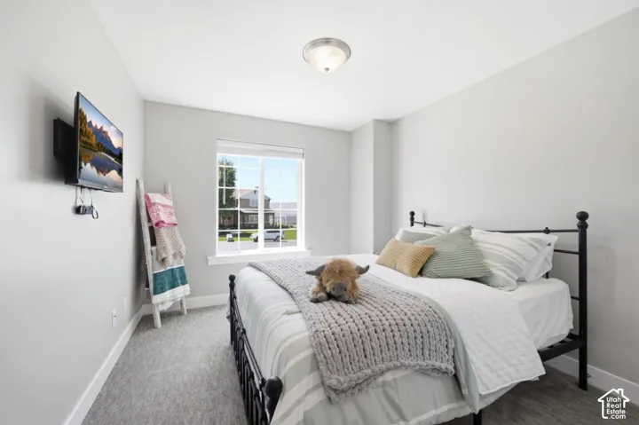 Wall-mounted television fixture, single window with grid pattern, light-toned wall paint, ceiling-mounted light fixture, and carpeting
