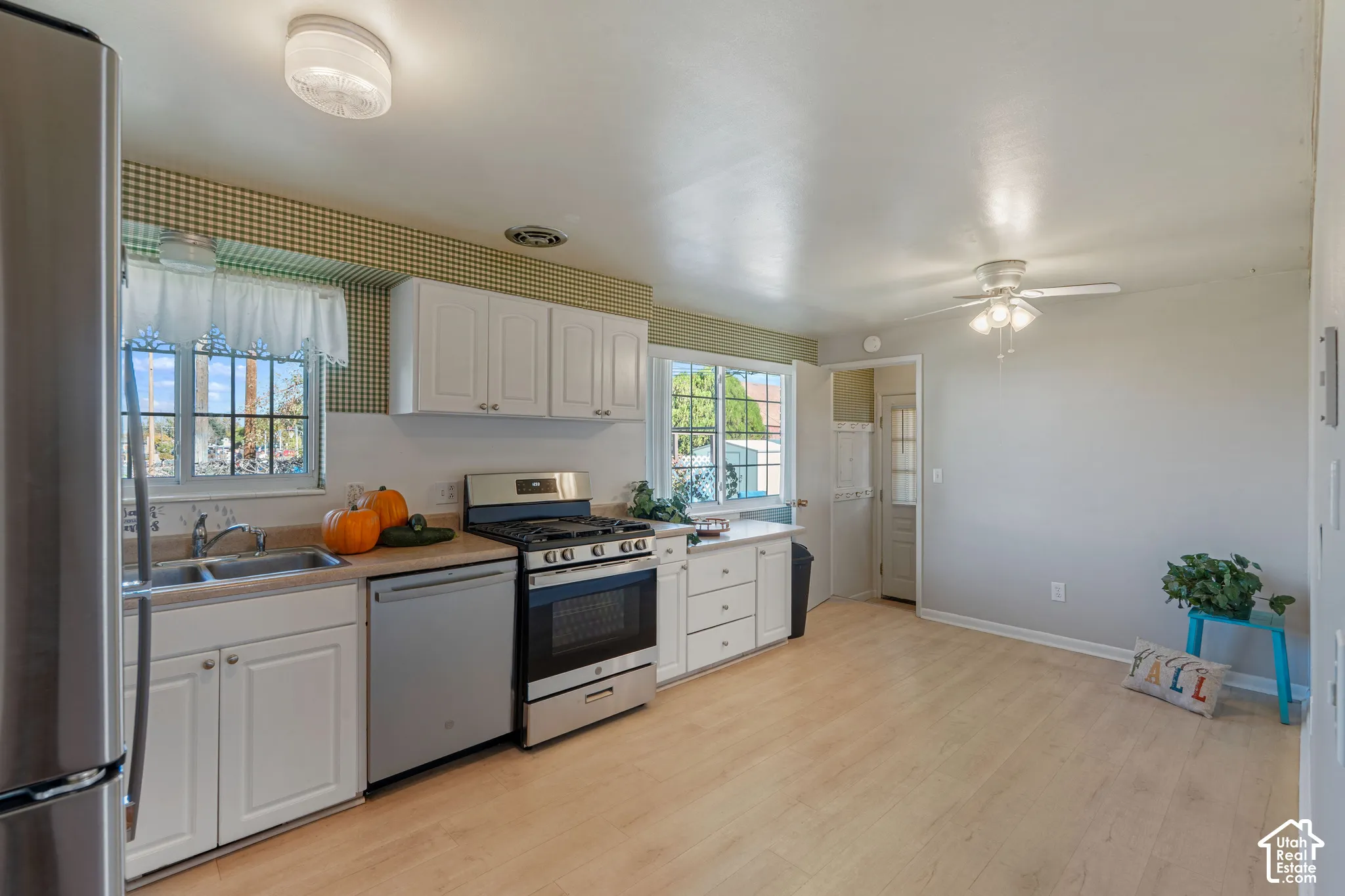 White cabinetry, stainless steel appliances, dual basin sink, ceiling fan, and wood-finish flooring