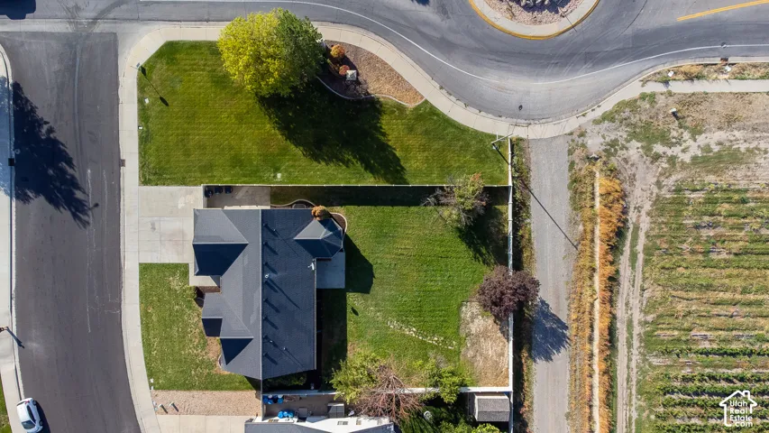 Property with a dark shingled roof, a paved driveway, and expansive manicured lawns