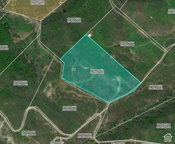 Plat Map. Illustrating the boundaries of the property and surrounding parcels