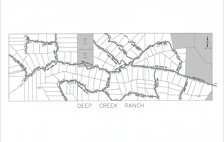 Survey Map. Displaying the subdivision of a ranch property into individual lots, with roads and labels indicating lot numbers and geographical features
