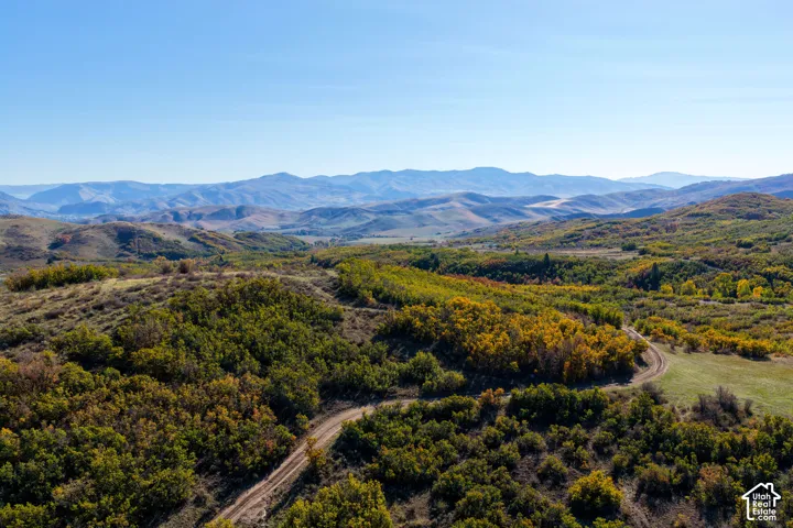 Expansive acreage featuring rolling hills, varied foliage, and a natural dirt path