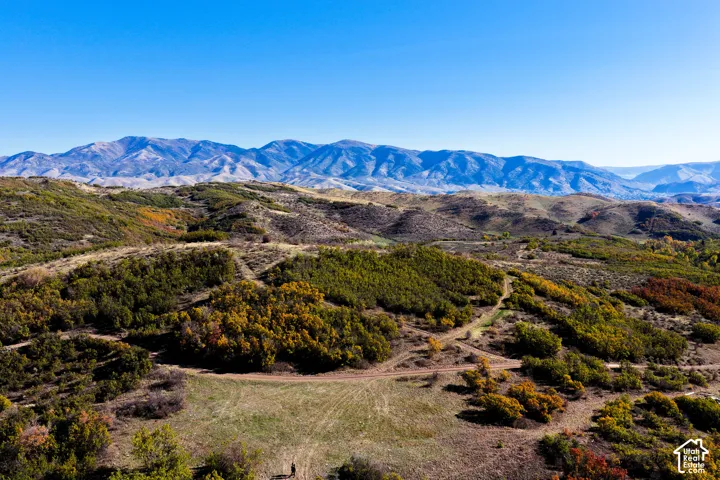 Mountainous backdrop, expansive terrain, varied foliage, natural landscape