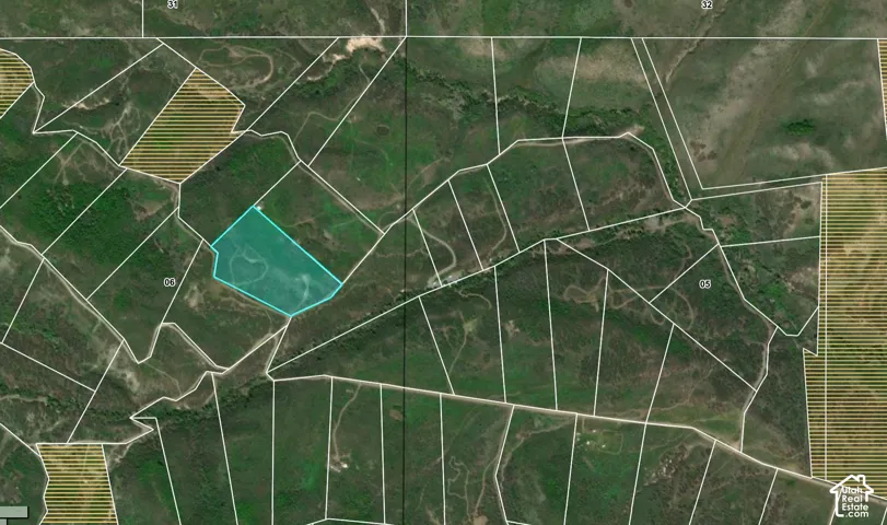 Property Map. Overhead view of the property and surrounding parcels