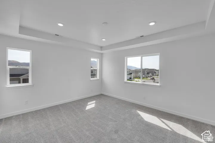 Recessed ceiling lighting, tray ceiling detail, large windows, secondary window, and plush carpeting