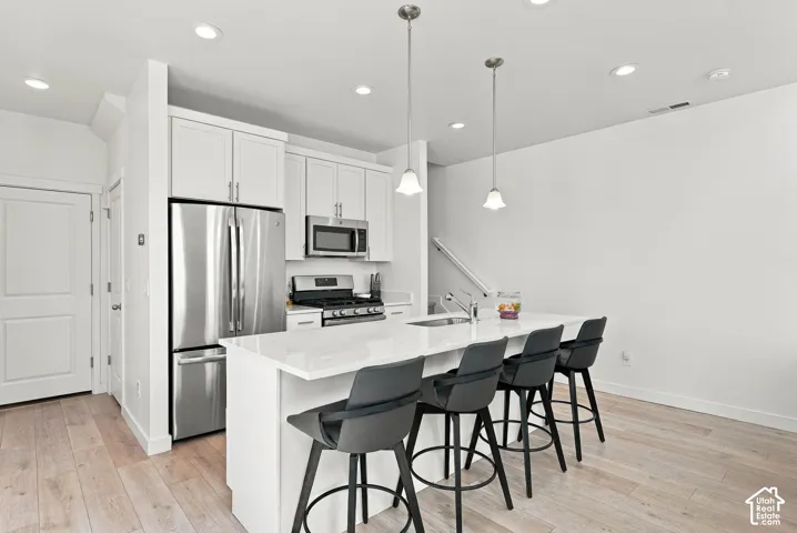 Modern kitchen featuring white cabinetry, stainless steel appliances, a white island with an undermount sink, and wood-finish flooring