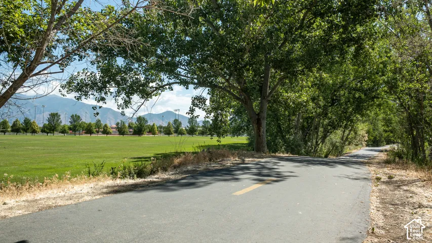 Paved pathway bordered by mature trees and a vast grassy field, with distant mountains under a clear sky