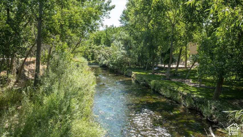 Waterway with clear water, bordered by lush green foliage and mature trees