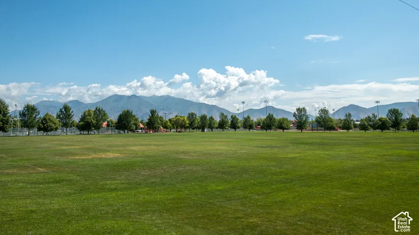 Expansive green field with a tree-lined perimeter, bordered by mountains in the distance