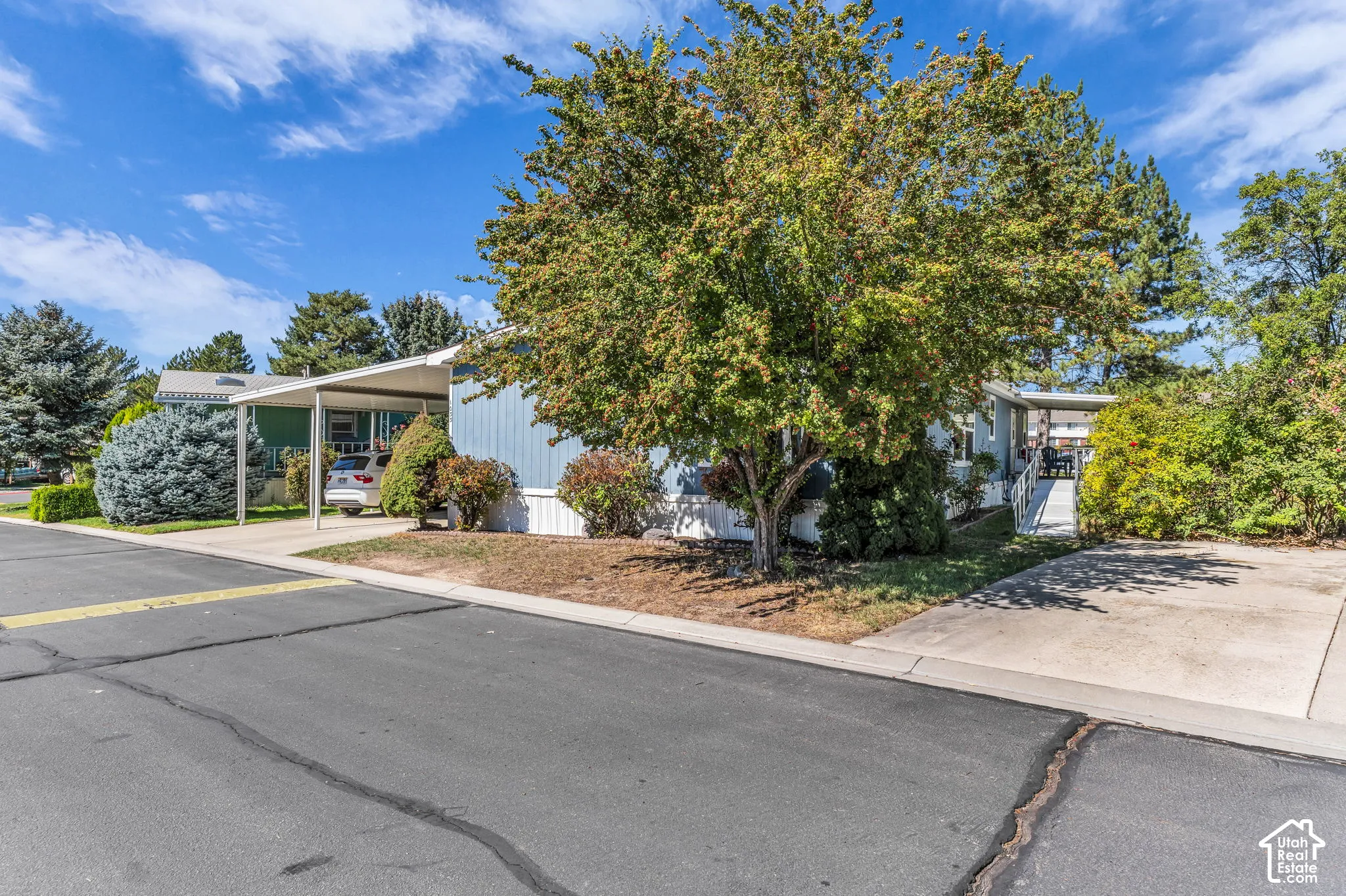 Established landscaping, carport, paved driveway, and mature trees