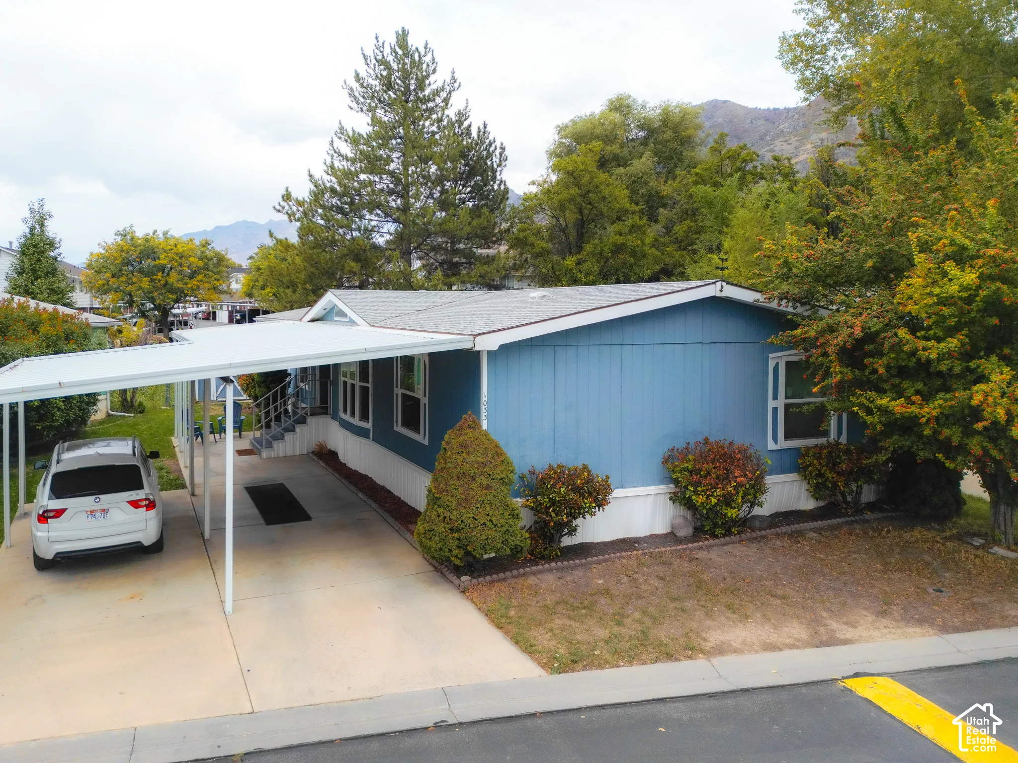 Light blue exterior siding, white trim windows, covered carport, concrete driveway, and established shrubs