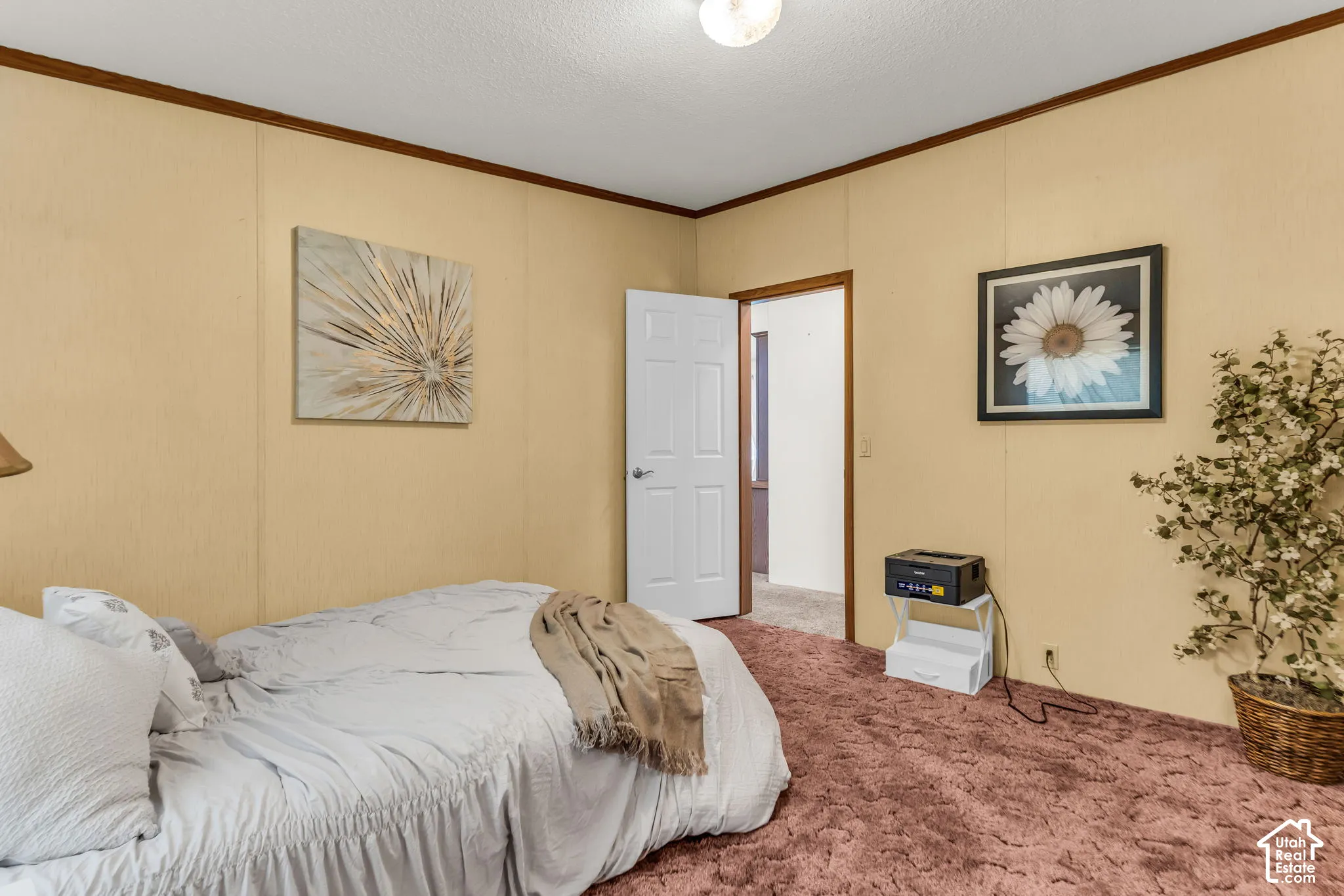 Wall-to-wall carpeting with an open doorway