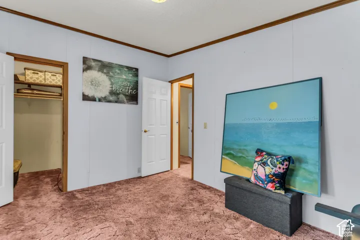 Recessed closet with built-in shelving, paneled walls, and wood-finish trim