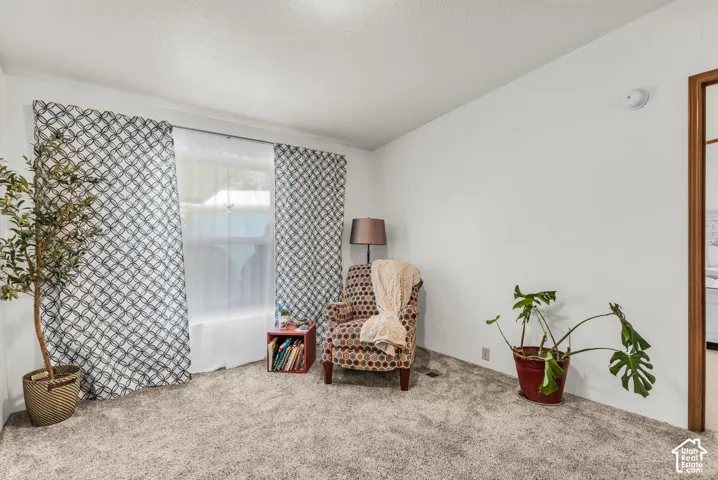 White painted walls, light gray carpet, and a window with sheer and patterned curtains