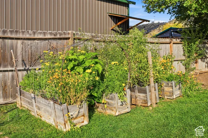 Raised garden beds, vibrant foliage, and a wood privacy fence