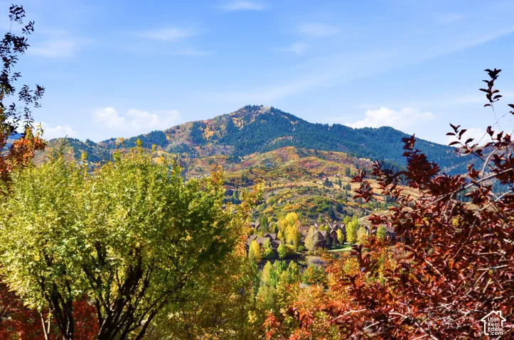 Mountainous terrain with natural tree coverage