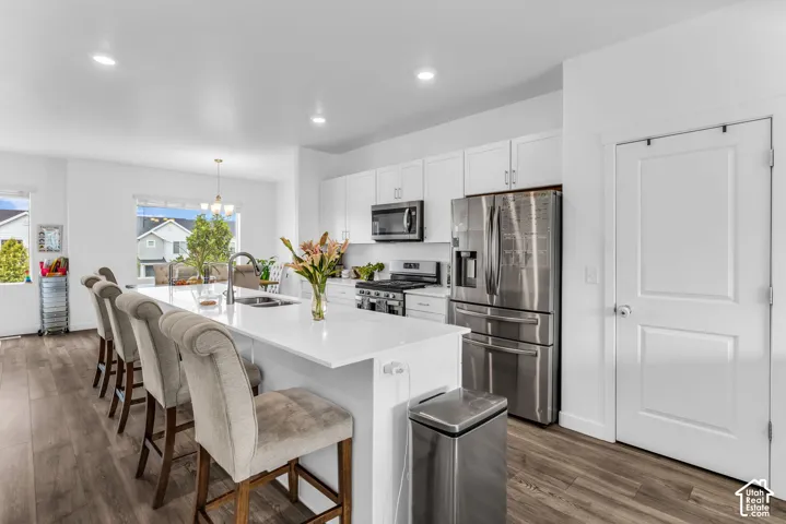 Kitchen featuring a large island with white countertop, stainless steel appliances, white cabinetry, and wood-finish flooring